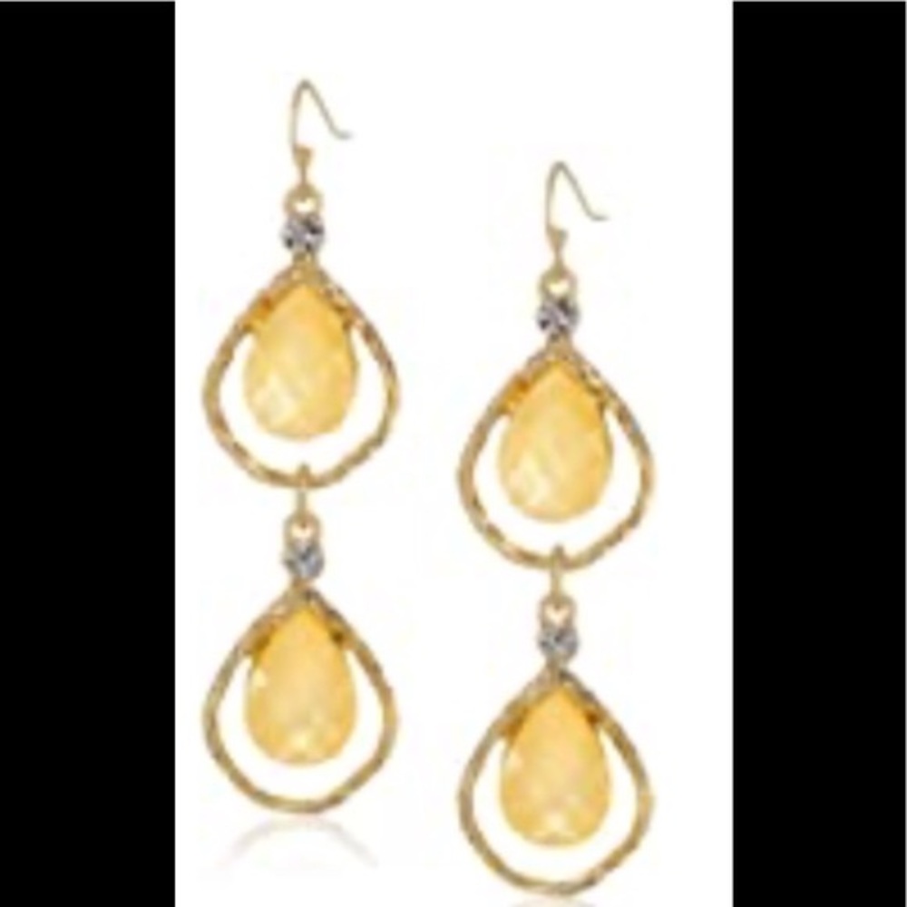Double drop gold lucite earrings